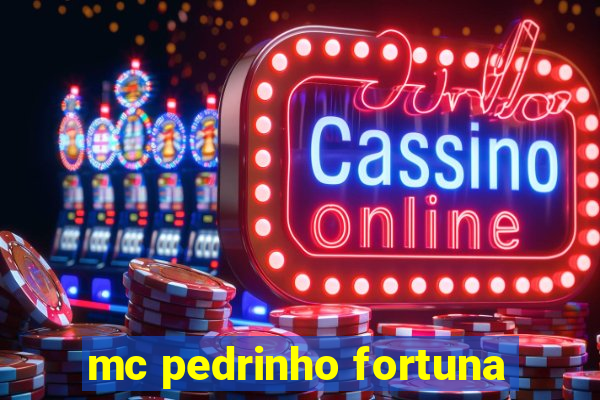 mc pedrinho fortuna